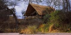 Holiday to the Jongomero Camp, Ruaha Tanzania