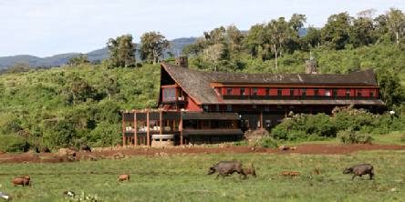 Holiday to The Ark Lodge, Aberdares National Park Kenya