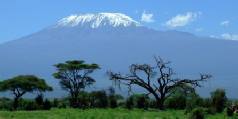 Safari holidays in Kenya - 5 night Kili safari