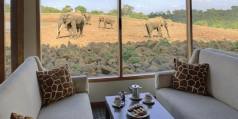 Holiday to The Ark Lodge, Aberdares National Park Kenya