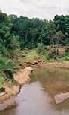 Safari holiday in Tanzania - 6 night Southern Tanzania Explorer