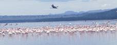 Holiday to the Great Rift Valley, Kenya