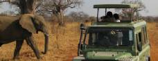 Holiday to Tarangire and Lake Manyara, Tanzania