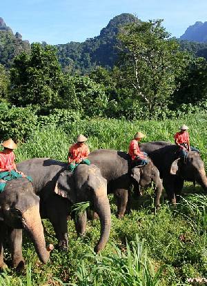 Holidays to Elephant Hills Khao Sok National Park