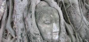Multi Centre holidays to Thailand