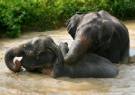 Thailand beach multicentre holidays