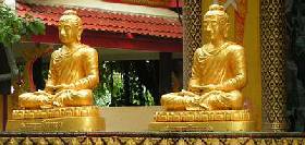 Sightseeing and excursions in Koh Samui