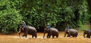 Multi centre holidays to Bangkok Chiang Mai and Thailand beaches