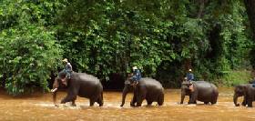 Sightseeing and excursions in Chiang Mai