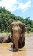 Escorted touring holidays to Thailand