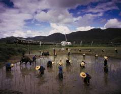 Holidays on the Eastern & Oriental Express