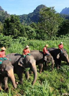 Holidays to Elephant Hills Khao Sok National Park