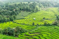 Escorted tour of Thailand - Around Thailand tour